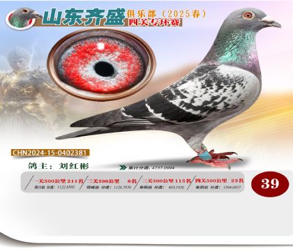 四關(guān)鴿王專環(huán)賽39名