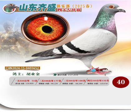 四關(guān)鴿王專環(huán)賽40名