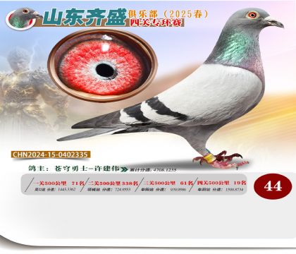 四關(guān)鴿王專環(huán)賽44名