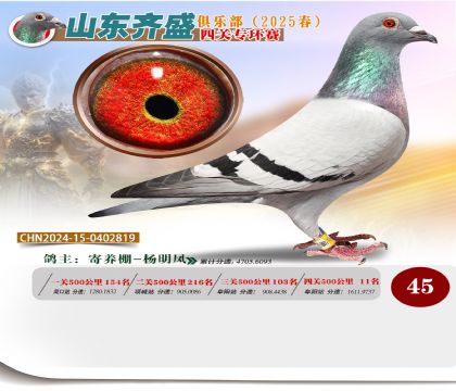 四關(guān)鴿王專環(huán)賽45名