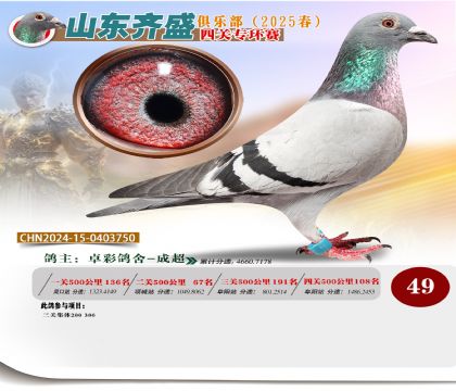 四關(guān)鴿王專環(huán)賽49名