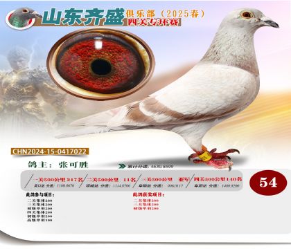 四關(guān)鴿王專環(huán)賽54名