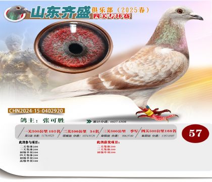 四關(guān)鴿王專環(huán)賽57名