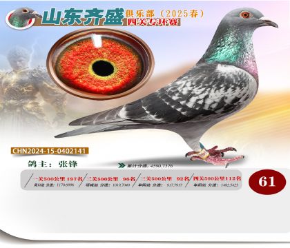 四關(guān)鴿王專環(huán)賽61名