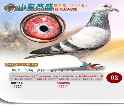 四關(guān)鴿王專環(huán)賽62名