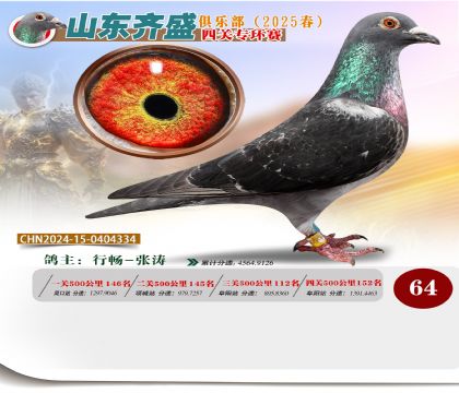 四關(guān)鴿王專環(huán)賽64名