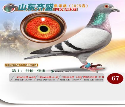 四關(guān)鴿王專環(huán)賽67名