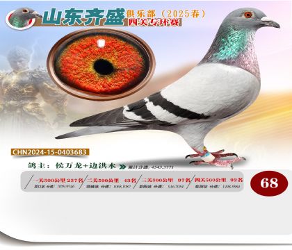 四關(guān)鴿王專環(huán)賽68名