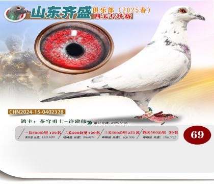 四關(guān)鴿王專環(huán)賽69名