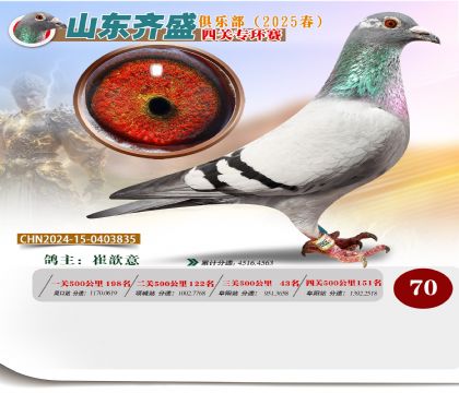 四關(guān)鴿王專環(huán)賽70名