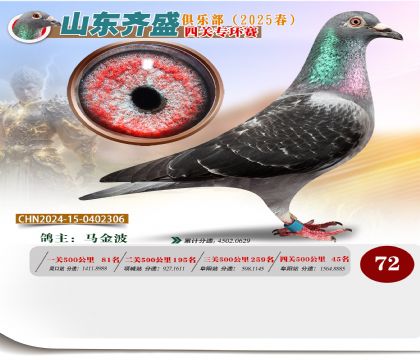 四關(guān)鴿王專環(huán)賽72名