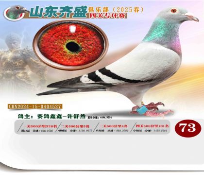 四關(guān)鴿王專環(huán)賽73名