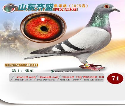 四關(guān)鴿王專環(huán)賽74名