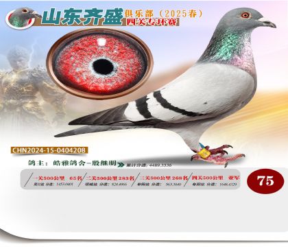 四關(guān)鴿王專環(huán)賽75名