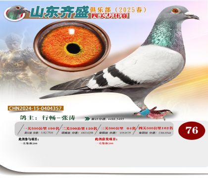 四關(guān)鴿王專環(huán)賽76名