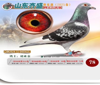 四關(guān)鴿王專環(huán)賽78名