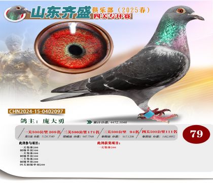 四關(guān)鴿王專環(huán)賽79名