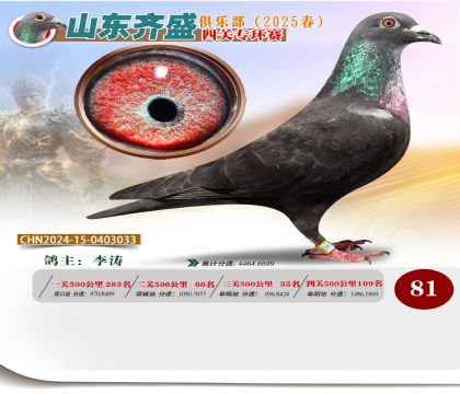 四關(guān)鴿王專環(huán)賽81名