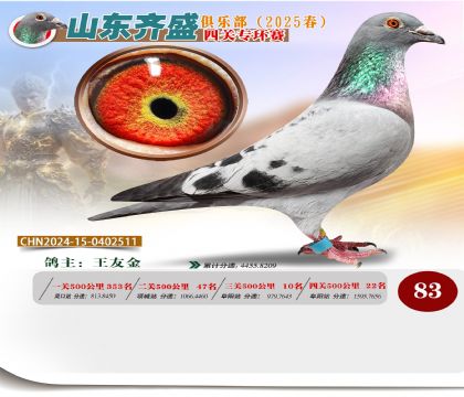 四關(guān)鴿王專環(huán)賽83名
