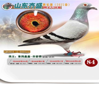 四關(guān)鴿王專環(huán)賽84名