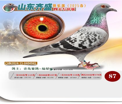 四關(guān)鴿王專環(huán)賽87名