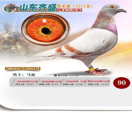 四關(guān)鴿王專環(huán)賽90名