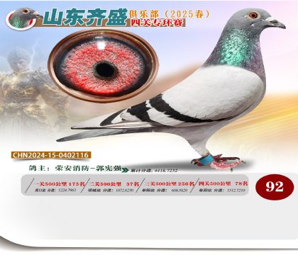 四關(guān)鴿王專環(huán)賽92名