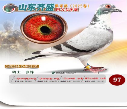 四關(guān)鴿王專環(huán)賽97名