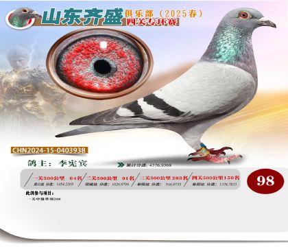 四關(guān)鴿王專環(huán)賽98名