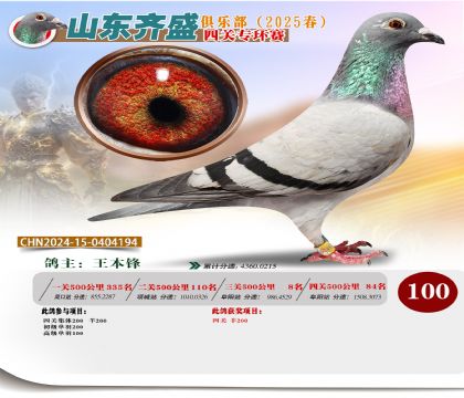 四關(guān)鴿王專環(huán)賽100名