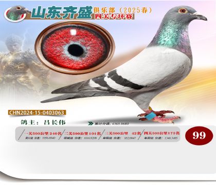 四關(guān)鴿王專環(huán)賽99名