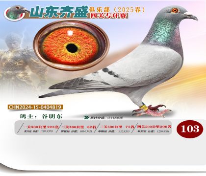 四關(guān)鴿王專環(huán)賽103名