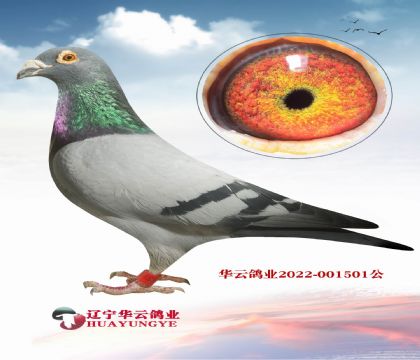 超級迪爾巴回血直子X直女 主攻惡劣氣候