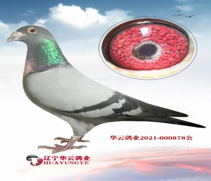 蓋比雙冠軍X蓋比 閃電母子回血