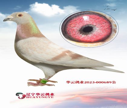 20年開爾大棚決賽冠軍孫代X吉爾特.海倫