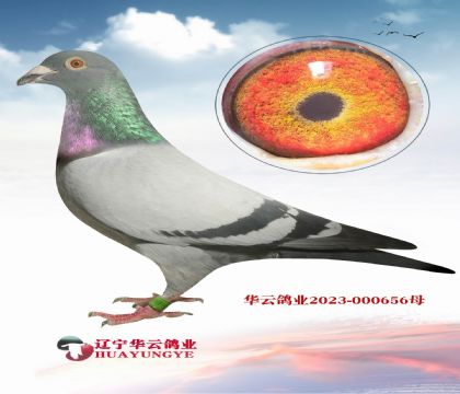 華云福雷迪最好用的直子X福雷迪孫女