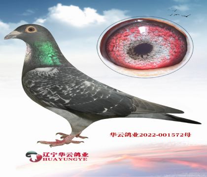 05年老胡本直接直子 “匹諾曹”最佳直子X藝術(shù)家直孫女