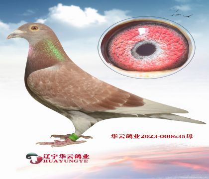 20年開爾大棚決賽冠軍孫代X吉爾特.海倫