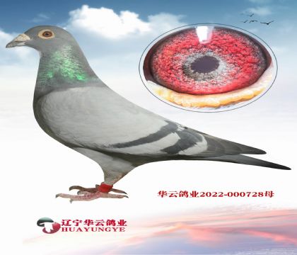 超級迪爾巴回血直子X直女 主攻惡劣氣候