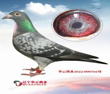 20萬利奧直女 這個(gè)利奧太高級了