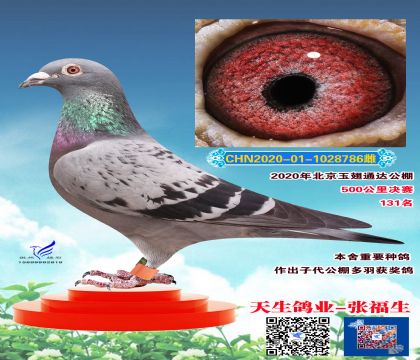 玉翅通達(dá)決賽131名