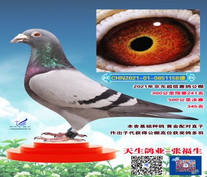 黃金配對直子 超信345名