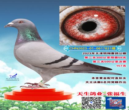 明翔決賽157名 預(yù)賽59名