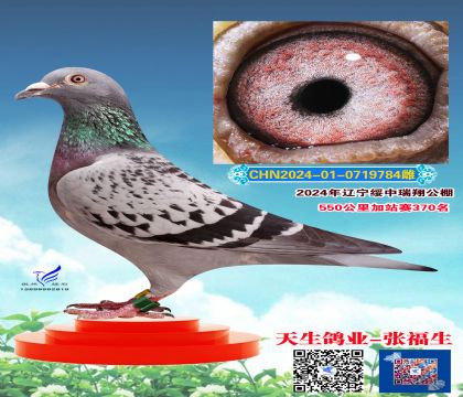 瑞翔加站370名