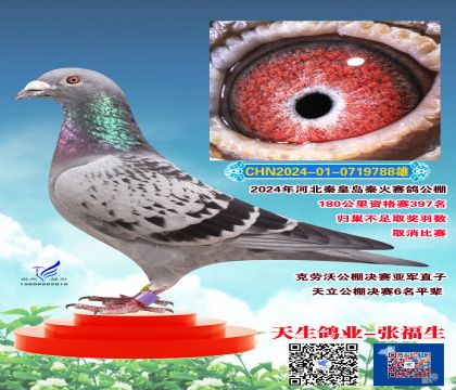 秦火397名天立6名同父母