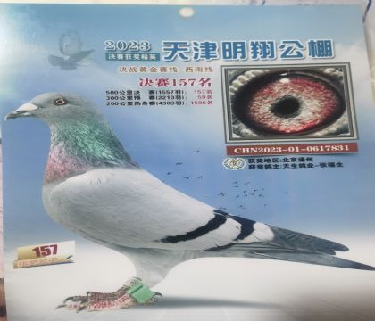 OŮ