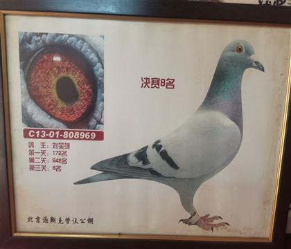 ֱ
