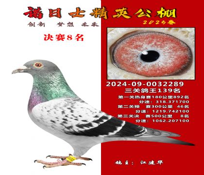 徐州精英公棚決賽8名