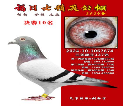 徐州精英公棚決賽10 名
