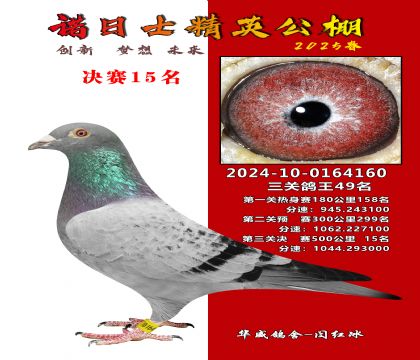 徐州精英公棚決賽15名